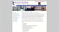 Desktop Screenshot of bluemanplumbing.com