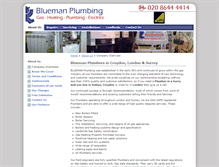 Tablet Screenshot of bluemanplumbing.com